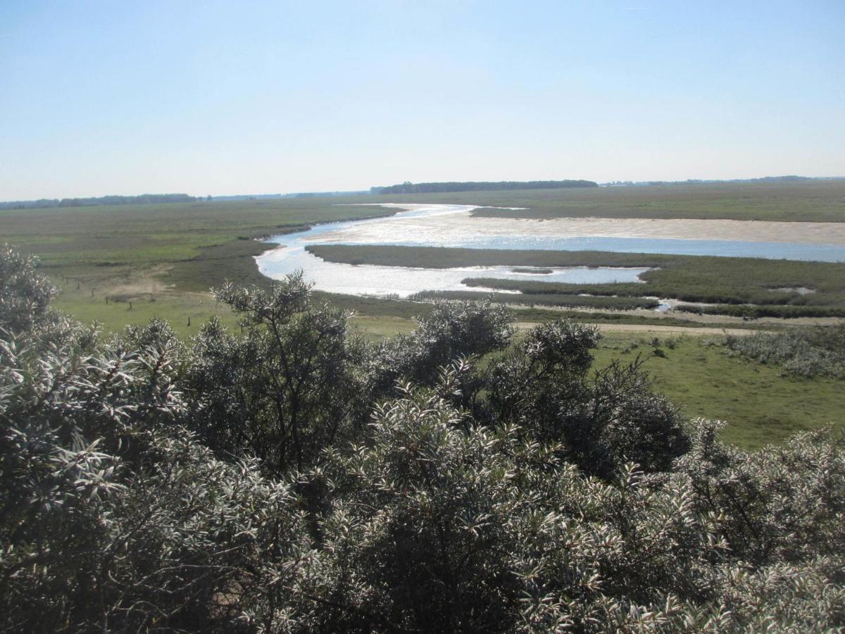 Beautiful And Spacious Villa With A Panoramic View Near The Beach Of Cadzand Extérieur photo